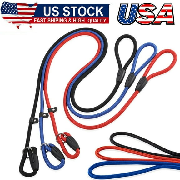 3-Pack Heavy-Duty Nylon Slip Lead Dog Leashes (Red, Black, Blue) – Durable
