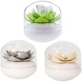 thumbnail image 1 of 3 Pack Lotus Cotton Swab Holder,Cotton Bud Small Q-Tips Toothpicks Brushes Holder Box Case Storage Organizer Jar with Clear Lid Dustproof Cover Green Grey Beige, 1 of 12