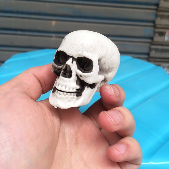 3-Pack Mini Halloween Skull Props, 2-Inch Realistic Plastic Human Skeleton Head Decor for Haunted House Party Supplies