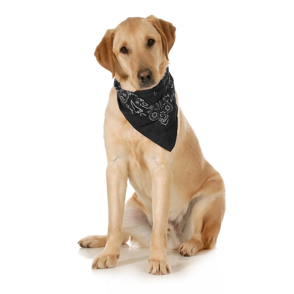 3-Pack Paisley Cotton Dog Scarf Triangle Bibs  - XL and Washable (Black)