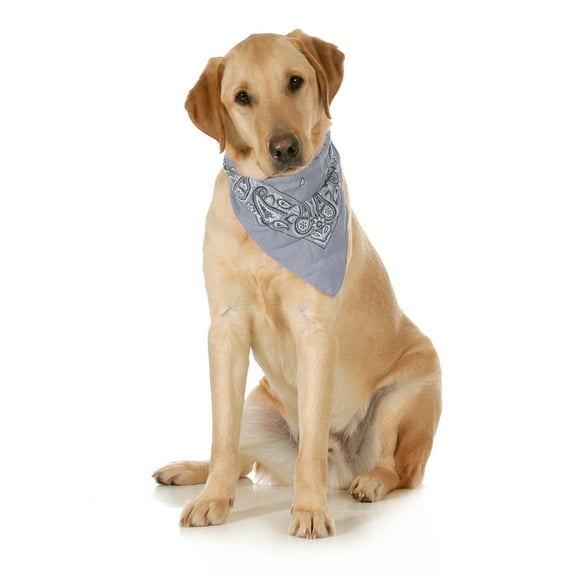 3-Pack Paisley Cotton Dog Scarf Triangle Bibs - XL and Washable (Grey)