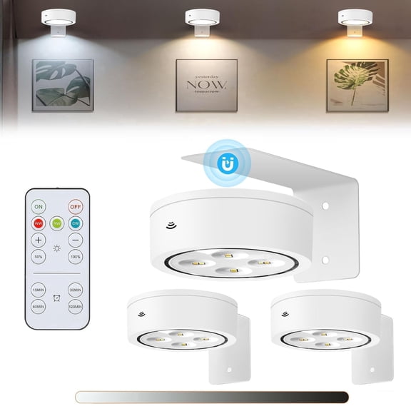 3 Pack Picture Light, Battery-Powered Cordless Picture Lights, with Remote Control Support 3 Color Temp Dimming and Timer for Artwork Painting Portrait Photos Lighting, Wall Decorations (White)