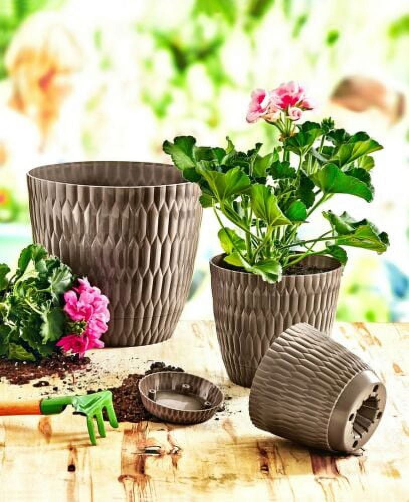 SPEPLA Plant Pots Set of 6, 6 Inch Self Watering Planters with Drainage  Holes and Saucers, Flower Pot with Watering Lip for Indoor Outdoor All  House