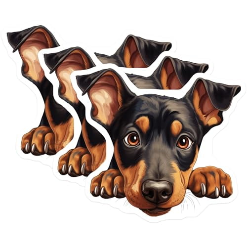 (3 Pack) Rottweiler Decals - Cute Dog - Puppy Peek Animal Stickers - 3 Inches On Longest Side - Easy Peel & Apply - Made in USA - 3MCS8731
