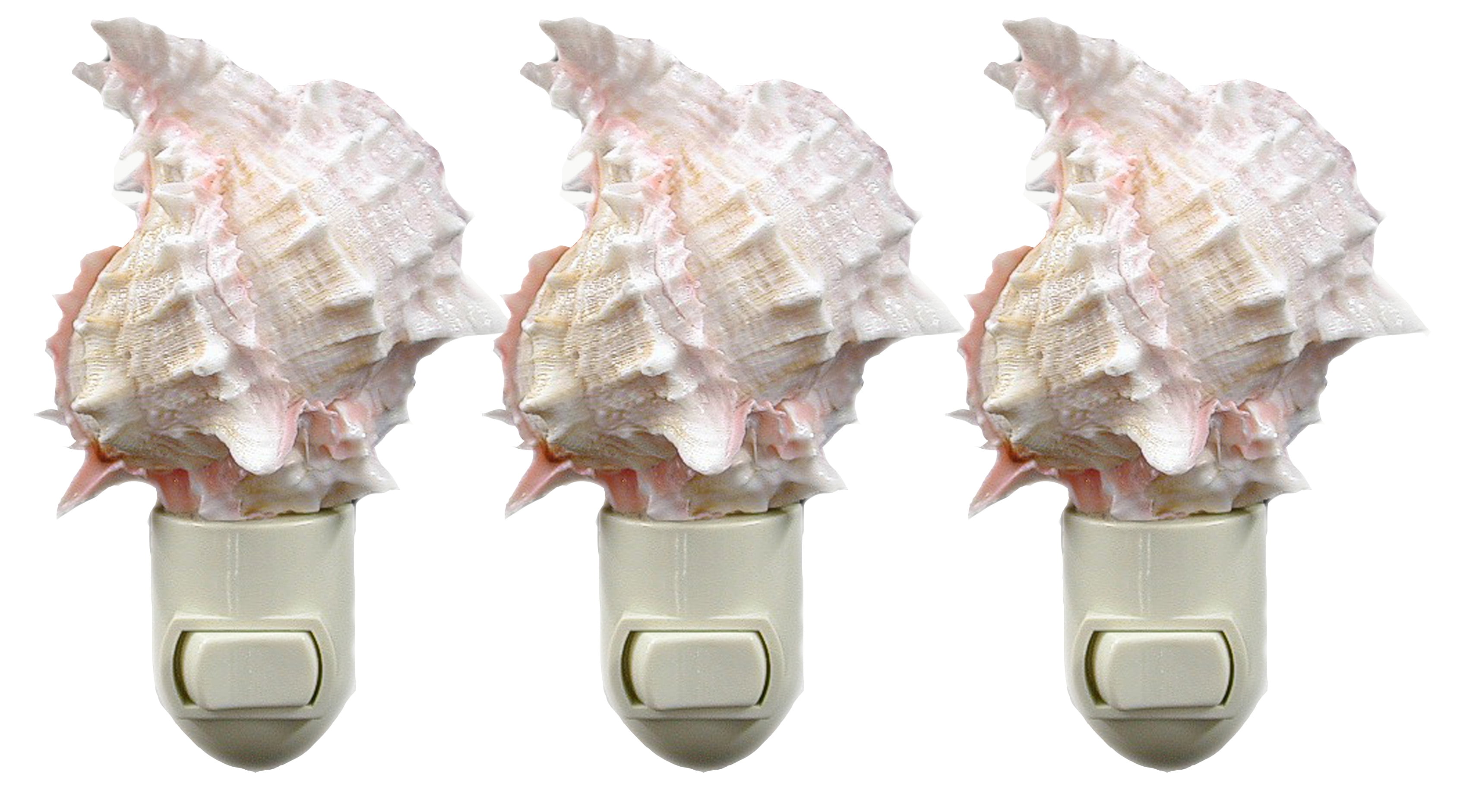 3-Pack: Seashell Night Light Real Pink Murex Shell Beach Decor w. on/off switch Beautiful Coastal Cottage