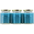 thumbnail image 1 of 3-Pack Tropical Smoke & Odor Eliminator Candle, 8 oz Hexagon jar, 1 of 3