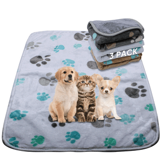 Dog blankets walmart discount