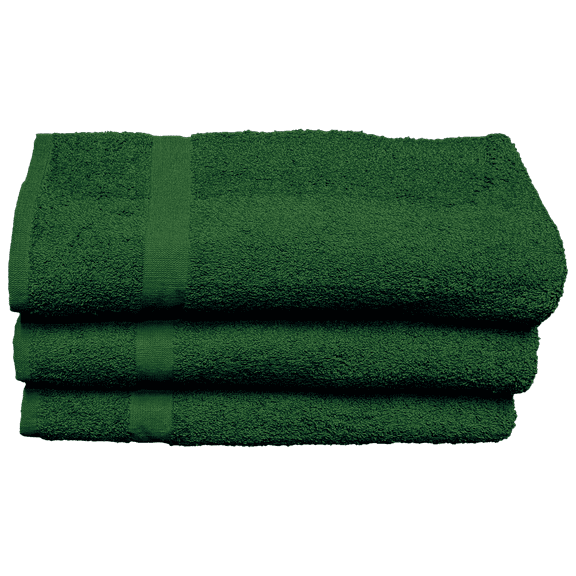 3 Pack Waterview Beach Pool Spa Towels Solid Kashmir Green 100% Cotton 36" x 68"
