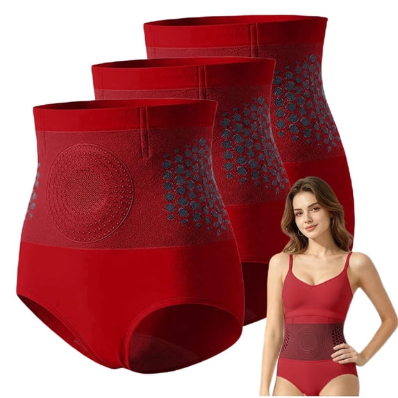 3 Pack Women Shapewear Underwear, 4-in-1 Micro-Particle Sculpting Shapewear , High Waisted Underwear