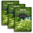 thumbnail image 1 of 3 Packs Anise Seeds - Non-GMO Heirloom Annual Full Sun - Medicinal and Culinary Herb, 1 of 6