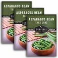 thumbnail image 1 of 3 Packs Asparagus Yard Long Bean Seeds - Non-GMO Heirloom Annual Full Sun Vegetable, 1 of 6