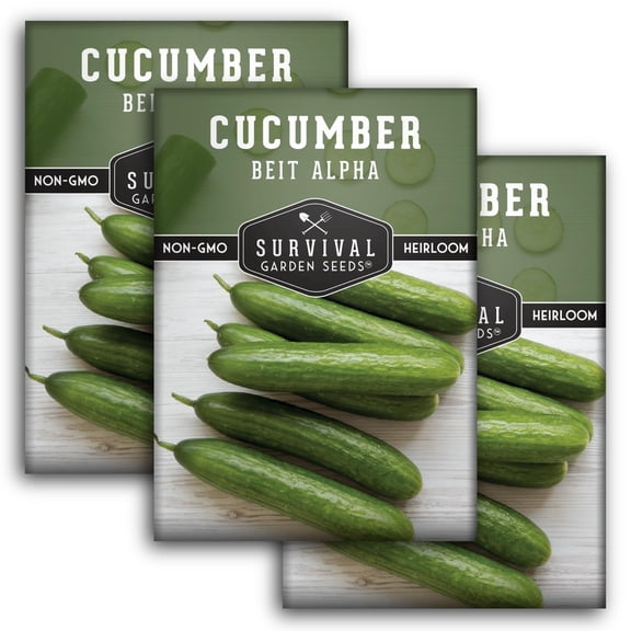 Beit Alpha Cucumber Seeds - Non-GMO Heirloom Full Sun Annual Vegetable - 3 Packs