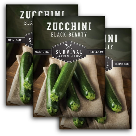 3 Packs Black Beauty Zucchini Seeds - Non-GMO Heirloom Full Sun Annual Vegetable