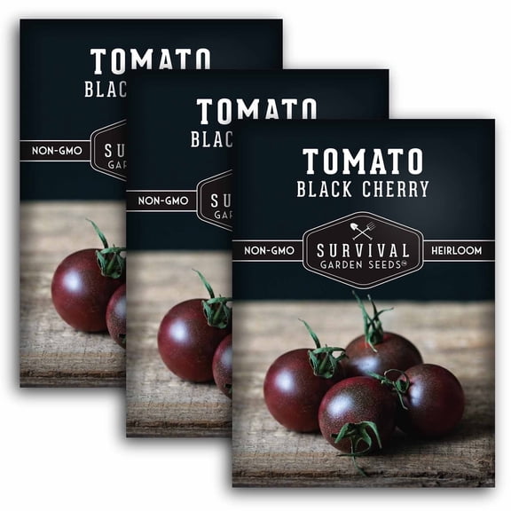 3 Pack Black Cherry Tomato Seeds - Purple Cherry Tomatoes - Heirloom Annual Full Sun Vegetables