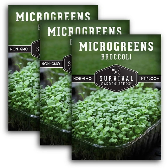 3 Packs Broccoli Seeds for Sprouting Microgreens - Non-GMO Heirloom Full Sun Biennial Vegetable