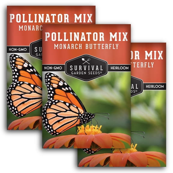3 Packs Butterfly Pollinator Mixture - Heirloom Flowers & Wildflowers- Perennials & More
