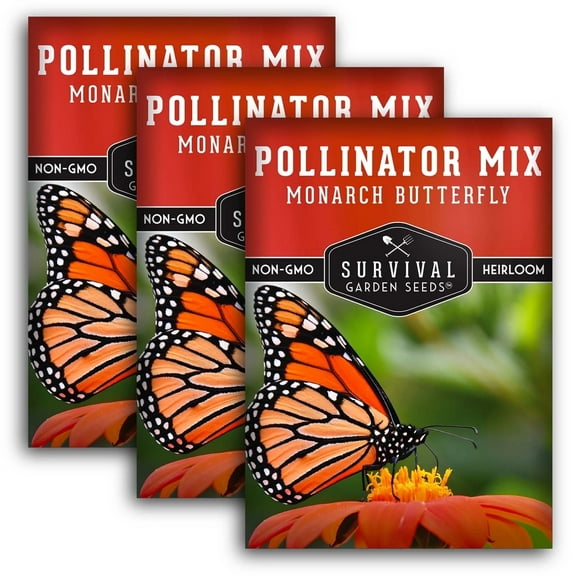 3 Packs Butterfly Pollinator Mixture - Heirloom Flowers & Wildflowers- Perennials & More