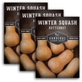 thumbnail image 1 of 3 Packs Butternut Winter Squash - Non-GMO Heirloom Seeds - Full Sun Annual Vegetable, 1 of 6