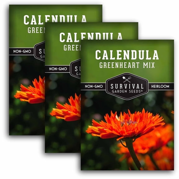 Calendula Greenheart Mix Seeds - Heirloom Annual Full Sun Flower - 3 Packs