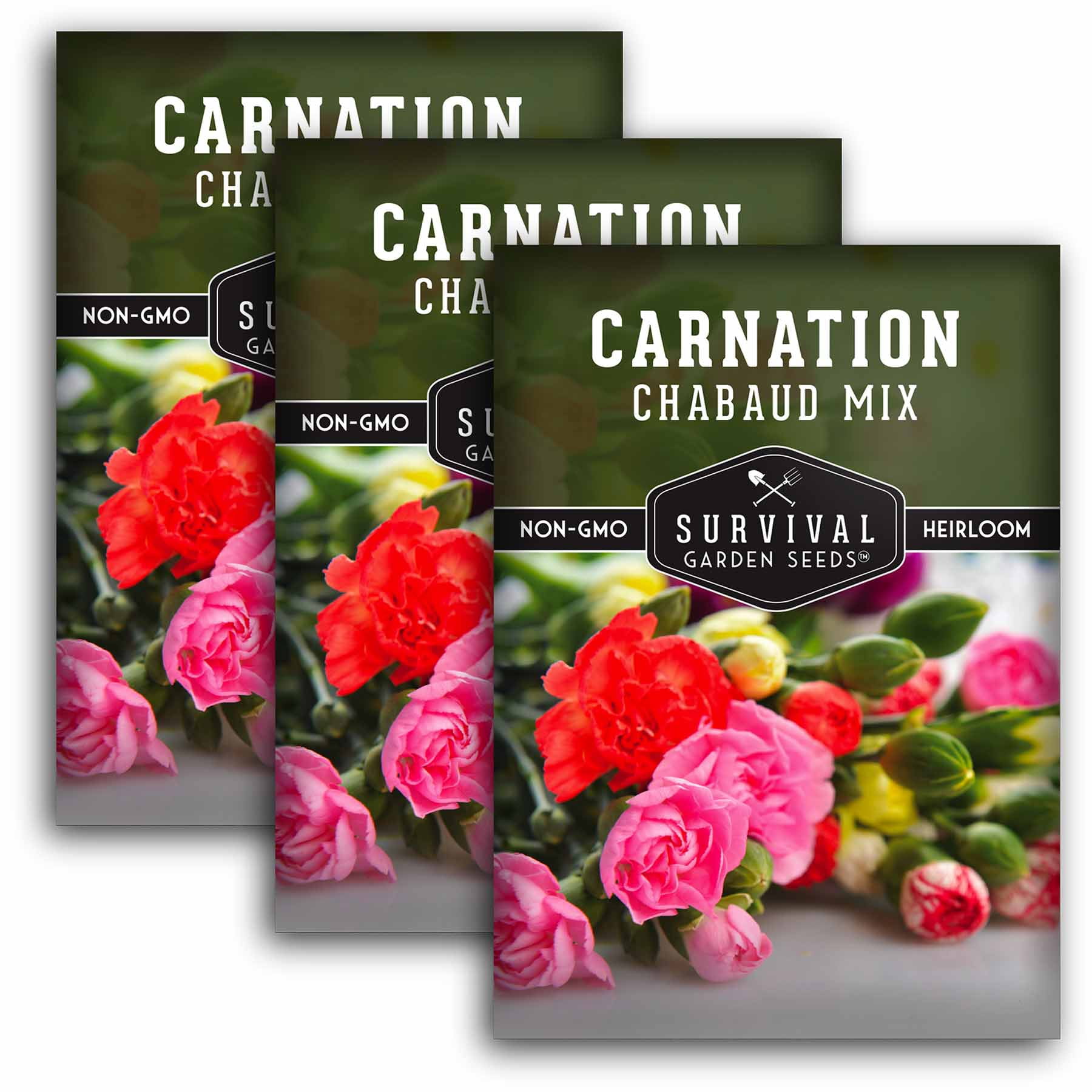 3 Packs Chabaud Mix Carnation Seed Dianthus Caryophyllus NonGMO