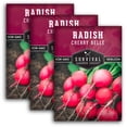 thumbnail image 1 of 3 Packs Cherry Belle Radish Seeds - Non-GMO Heirloom Full Sun Biennial Vegetable, 1 of 6