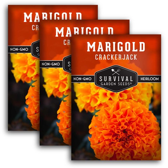 3 Packs Crackerjack Marigold Seeds - Non-GMO Heirloom Full Sun Annual Flower