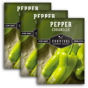 Cubanelle Pepper Seeds - Full Sun Annual Vegetable - 3 Packs