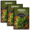thumbnail image 1 of 3 Packs Curled Chervil Seeds - Non-GMO Heirloom Partial Shade Annual Herb, 1 of 8