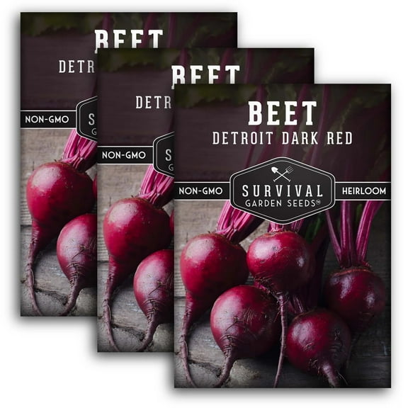 3 packs Detroit Dark Red Beet Seed - Non-GMO Heirloom Full Sun Biennial Vegetable