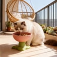 thumbnail image 1 of 3 Packs Elevated Cat Bowl for Whisker Relief, Raised Pet Food Dish with Non-Slip Base, Wide Shallow Design for Comfortable Feeding, Easy Clean Plastic Pet Feeder, Anti-Vomit and Neck Support Cat Dish, 1 of 6