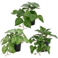 thumbnail image 1 of 3 Packs Fake Plants, Small Artificial Plants with Plastic Pots, Fake Potted Desk Plants for Office Home Shelf Decor Indoor Outdoor, 1 of 5