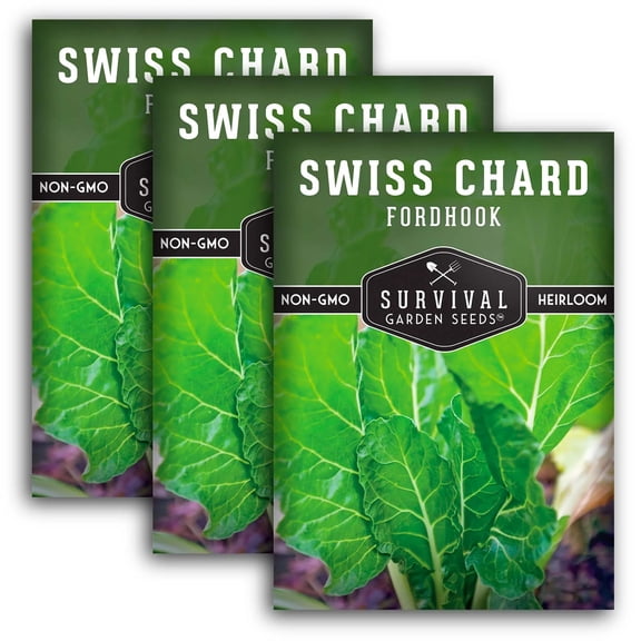 3 Packs Fordhook Swiss Chard Seeds - Non-GMO Heirloom Full Sun Annual Vegetable