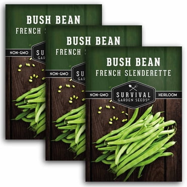 Strike Bush Bean Seeds - 25 Lb Bulk - Non-GMO, Heirloom Green Snap Bean ...