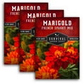 thumbnail image 1 of French Sparky Mix Marigold Seed - Heirloom Full Sun Annual Flower - 3 Packs, 1 of 9