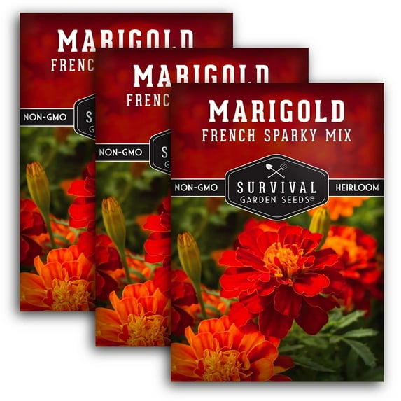 French Sparky Mix Marigold Seed - Heirloom Full Sun Annual Flower - 3 Packs