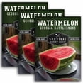 thumbnail image 1 of 3 Packs Georgia Rattlesnake Watermelon Seeds - Non-GMO Heirloom Full Sun Annual Vegetable, 1 of 6