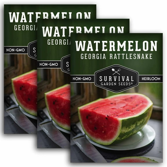 3 Packs Georgia Rattlesnake Watermelon Seeds - Non-GMO Heirloom Full Sun Annual Vegetable