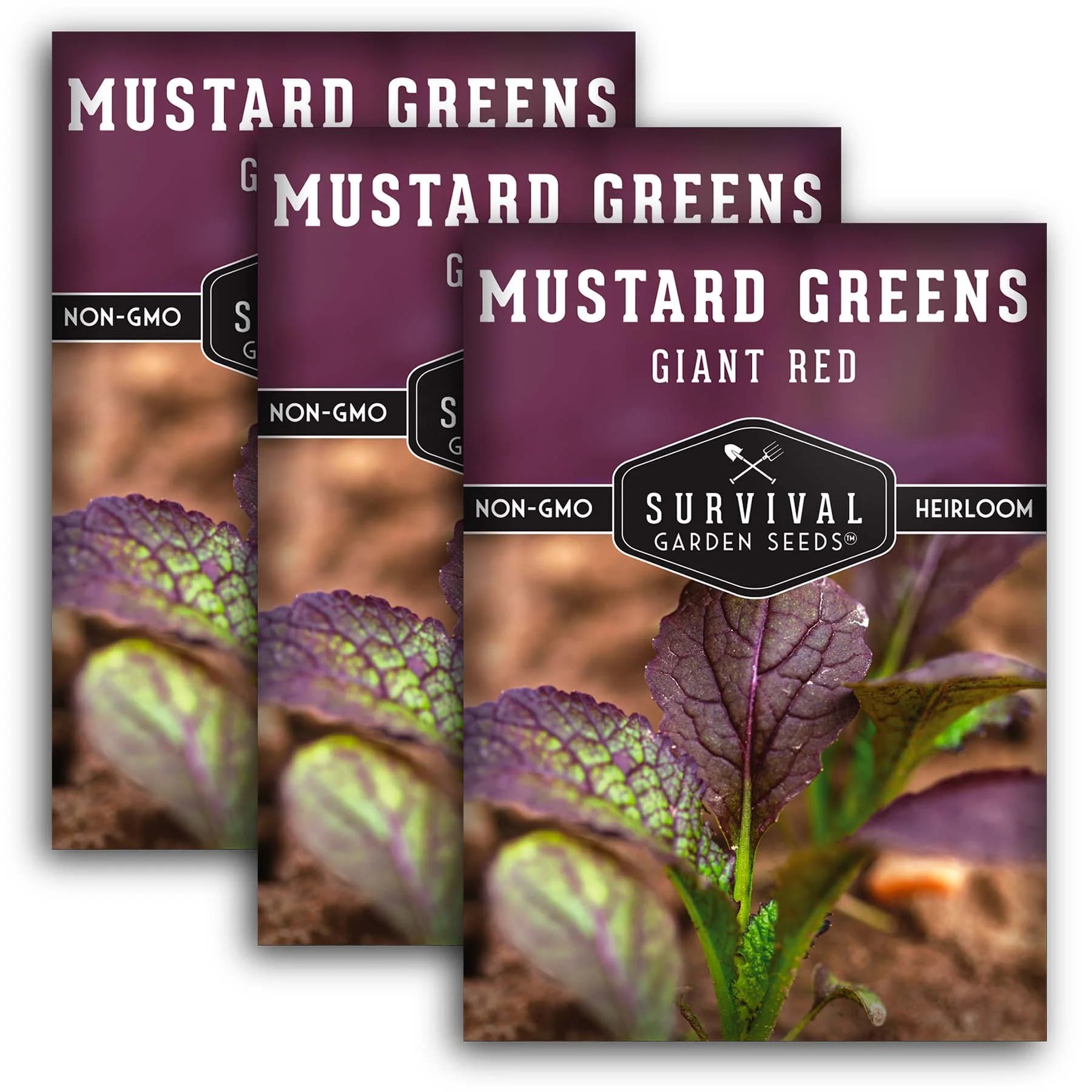 3 Packs Giant Red Mustard Greens Seeds - Non-GMO Heirloom Full Sun ...