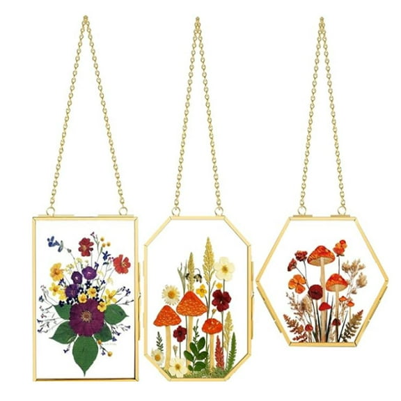 3 Packs Golden Pressed Flower Frames - Double Glass Wall Hanging Display for Dried Flowers, Photos & Memorabilia