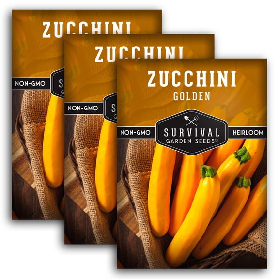 Golden Zucchini Seeds - Heirloom Full Sun Annual Vegetable - 3 Packs