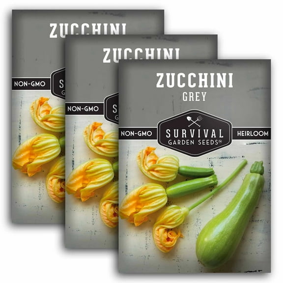 3 Packs Grey Zucchini Seeds - Non-GMO Heirloom Full Sun Annual Vegetable