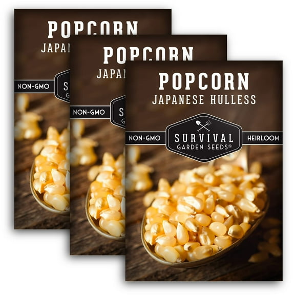 3 Packs Japanese Hulless Popcorn Seeds - Non-GMO Heirloom Full Sun Annual Vegetable