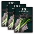thumbnail image 1 of 3 Packs Large American Flag Leek Seeds - Non-GMO Heirloom Full Sun Perennial Vegetable, 1 of 6