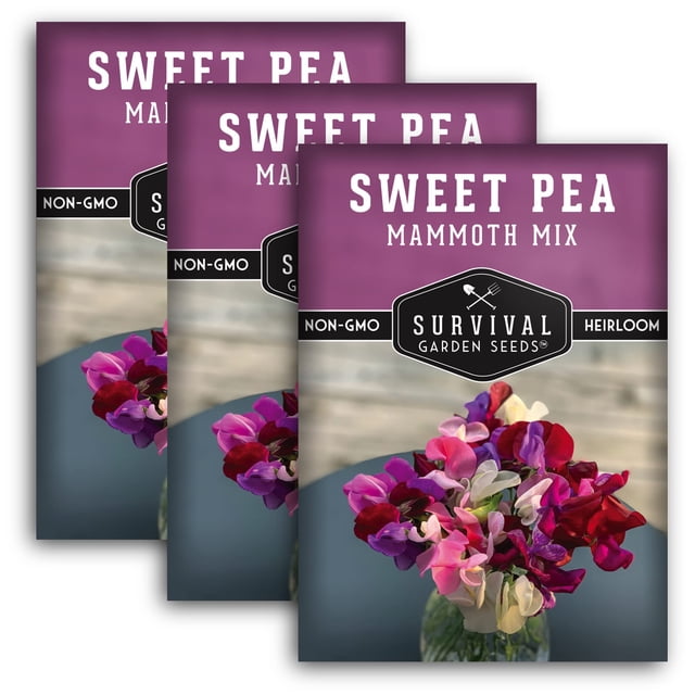 3 Packs Mammoth Sweet Pea Seeds Mix - Full Sun Annual Flower - Walmart ...
