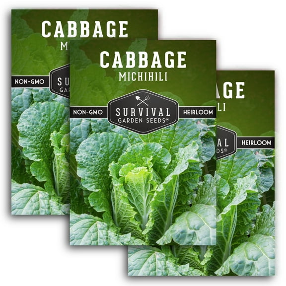 3 Packs Michihili Nampa Cabbage Seed - Non-GMO Heirloom Full Sun Biennial Vegetable