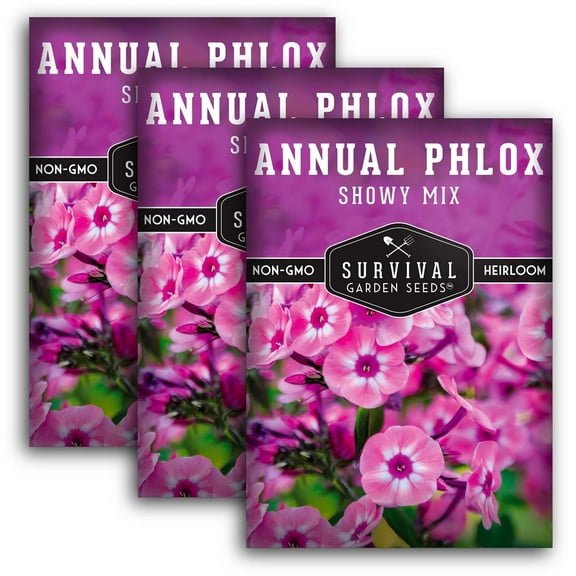 3 Packs Mixed Phlox - Annual Phlox Seeds - Heirloom Flower