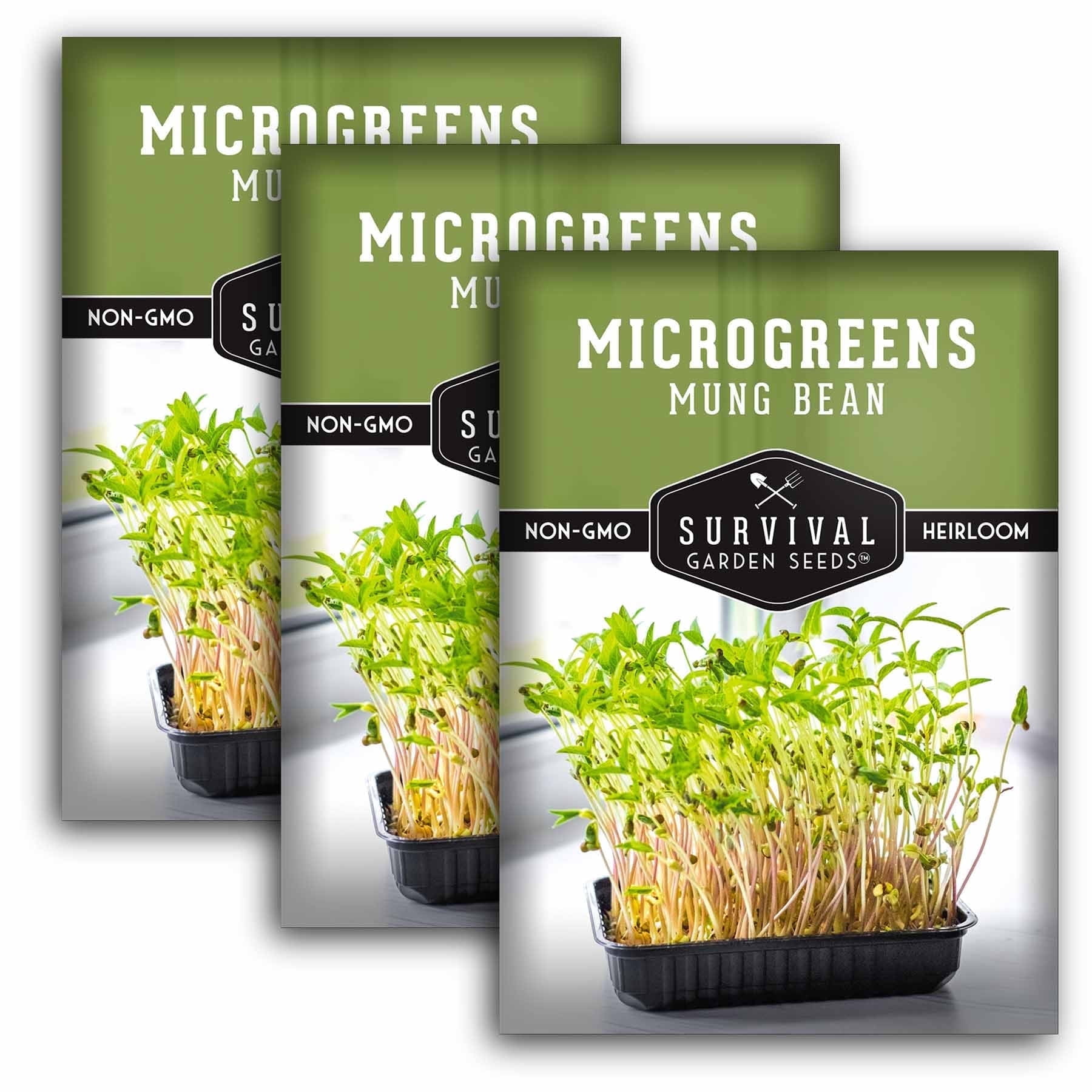 Micro Polybeans 3 Packs Mung Bean Microgreens Seeds for Sprouting - Non-GMO Heirloom ...
