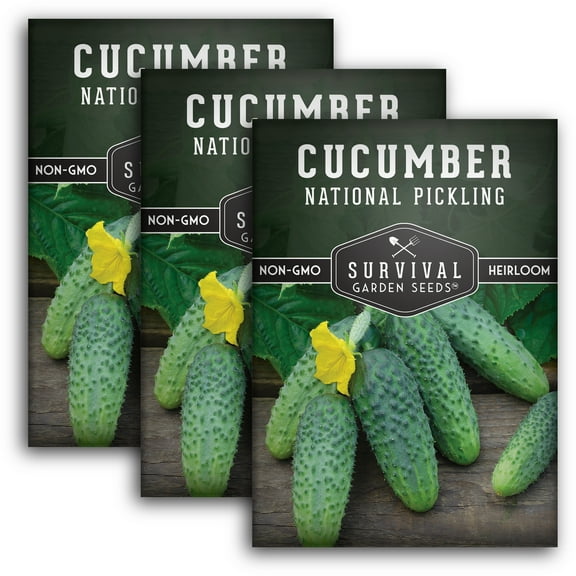 3 Packs National Pickling Cucumber - Non-GMO Heirloom Vegetable Seeds - Full Sun Annual
