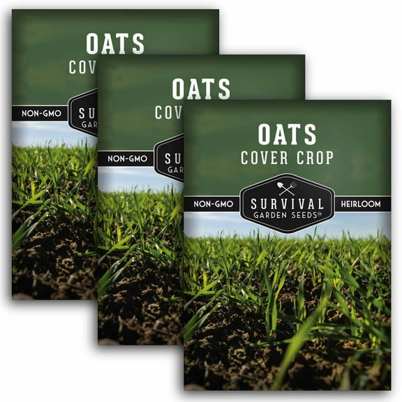 3 Packs Oats Cover Crop Seeds - Non-GMO Heirloom Annual Full Sun