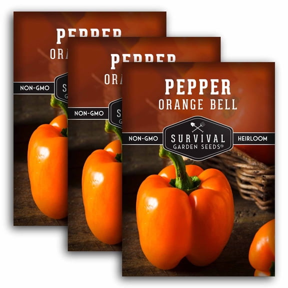 Orange Bell Pepper Seeds - Heirloom Annual Full Sun Vegetable - 3 Packs